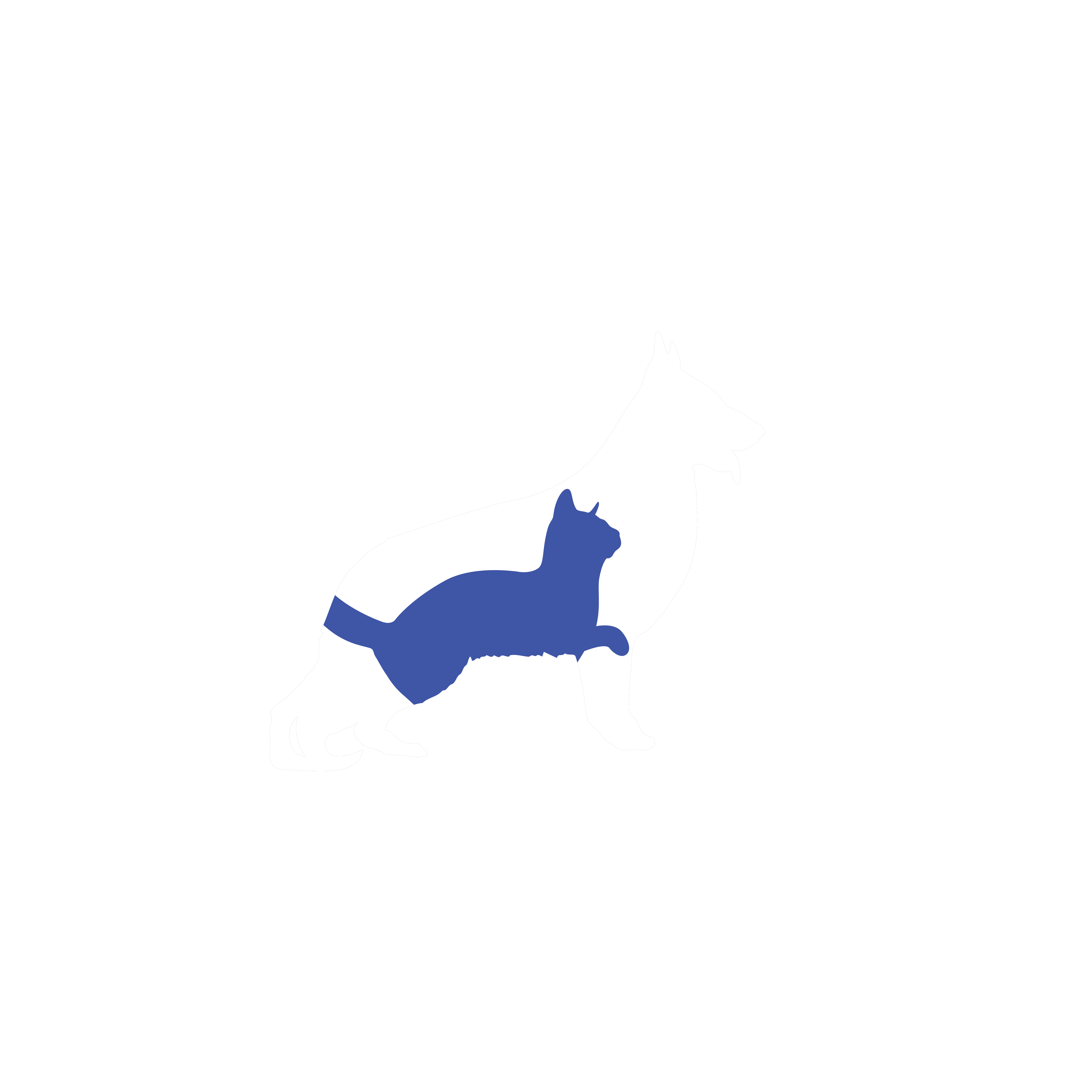 EIM Logo